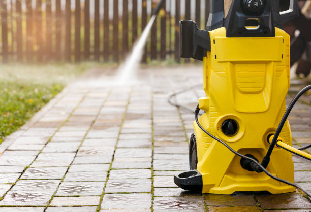 Spring Cleaning in Lake Sarasota, FL